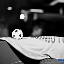 _DSC0459