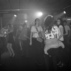 dsc_0103