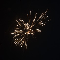 DSC_0909