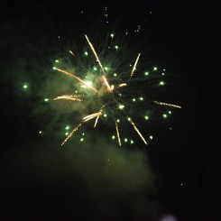 DSC_1236